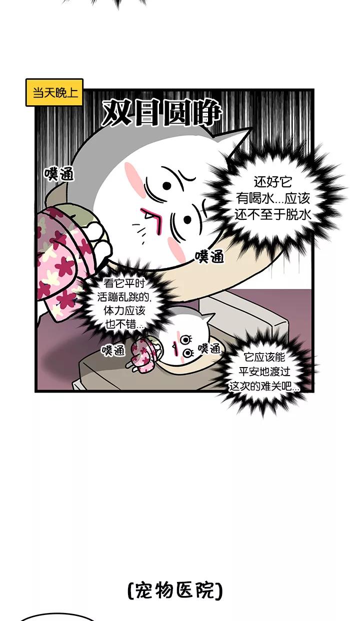 《我们结婚吧》[第86话] 小狗 第14页