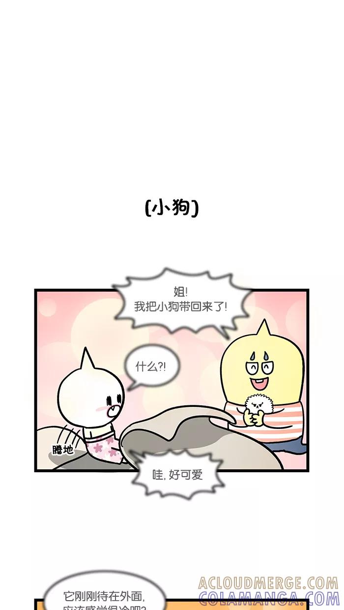 《我们结婚吧》[第86话] 小狗 第5页