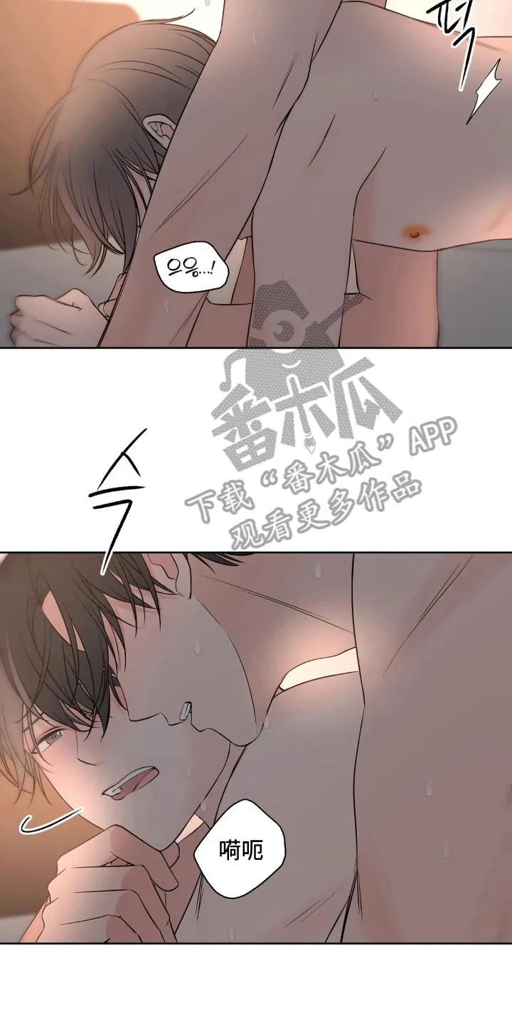 《双生痕》第30章：抱歉 第16页