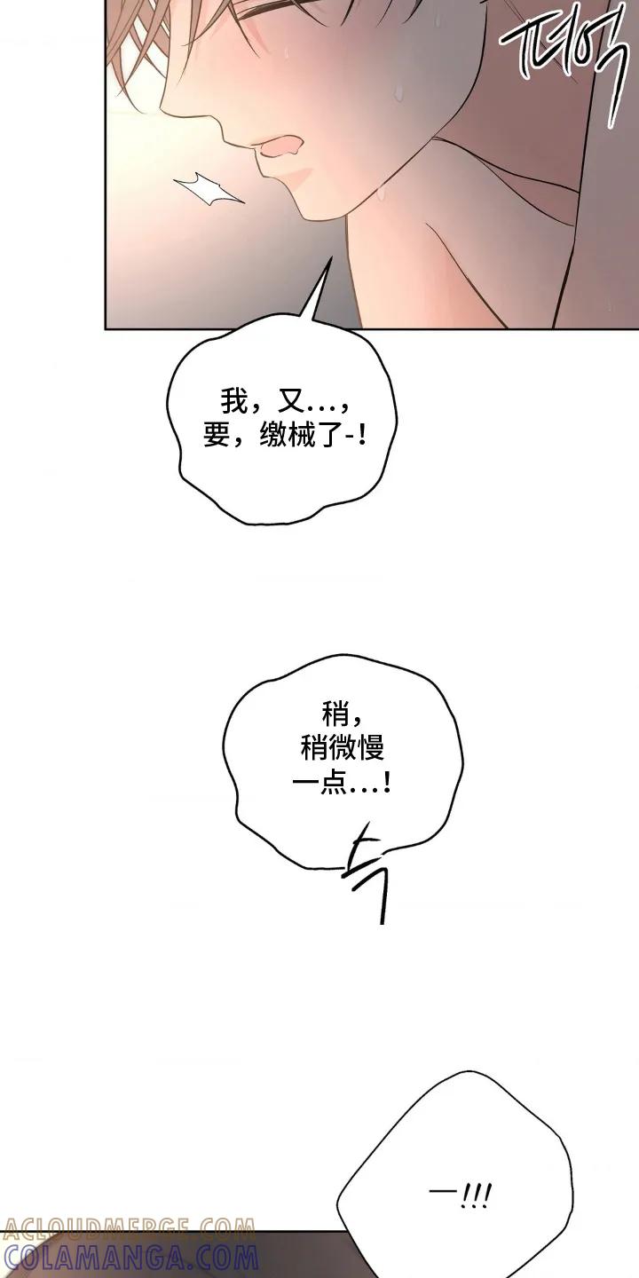 《双生痕》第30章：抱歉 第19页