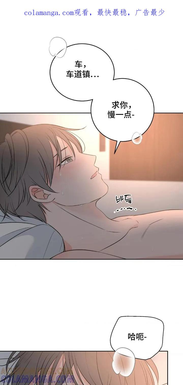 《双生痕》第30章：抱歉 第1页