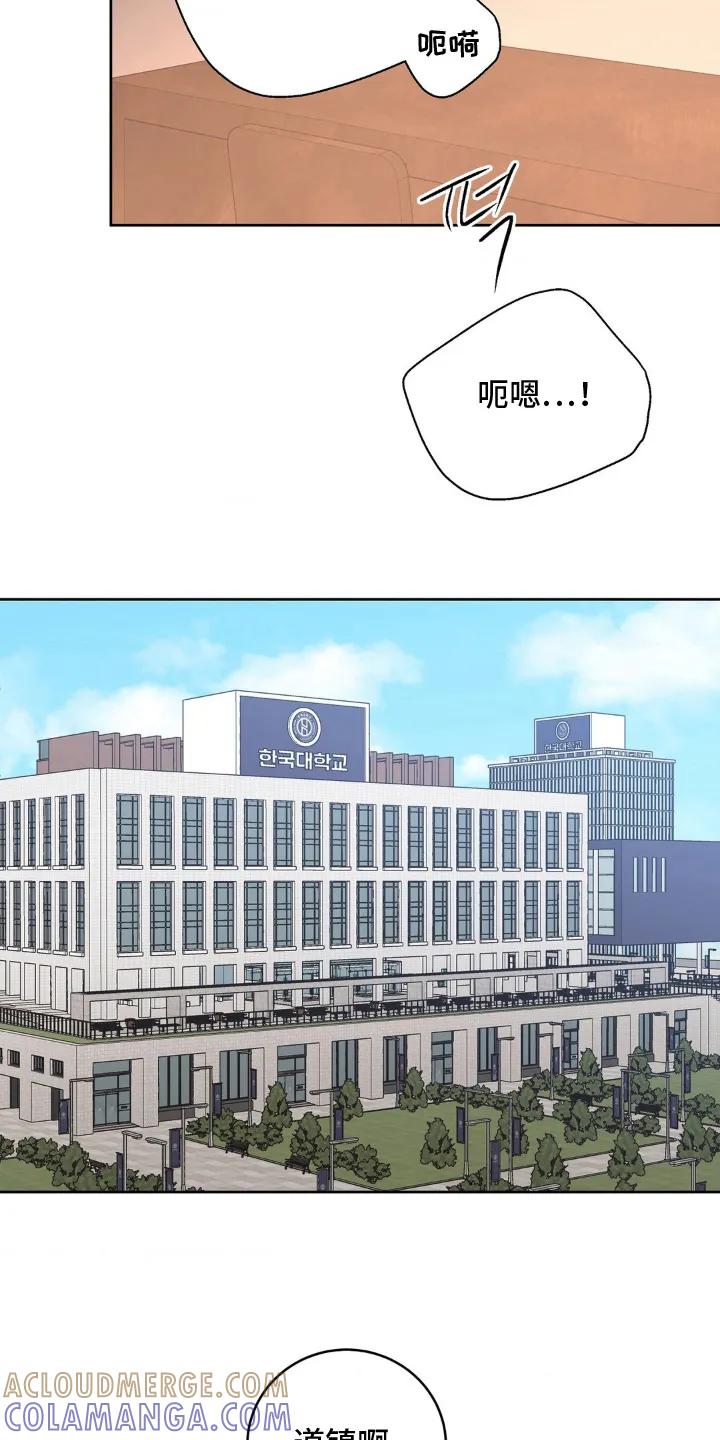 《双生痕》第31章：做好觉悟（完结） 第5页