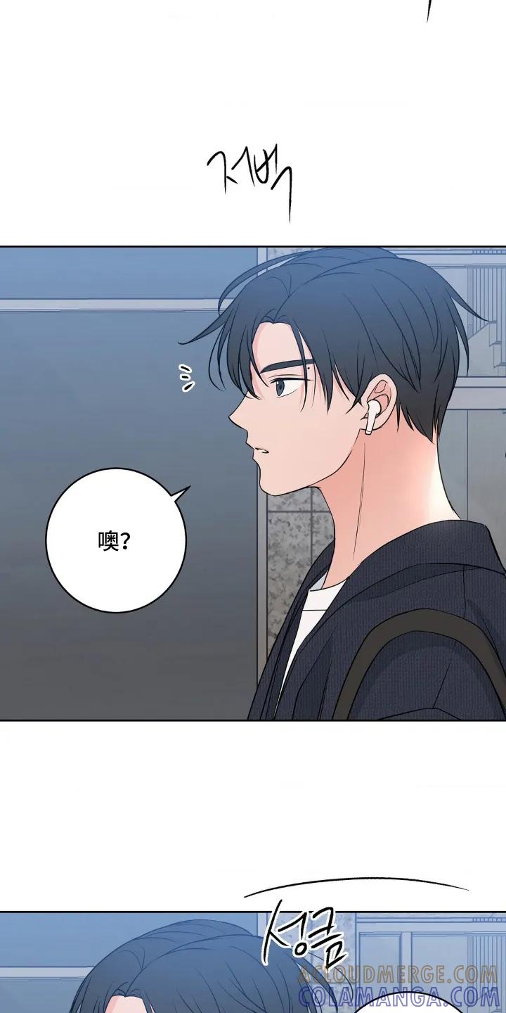 《双生痕》第31章：做好觉悟（完结） 第13页