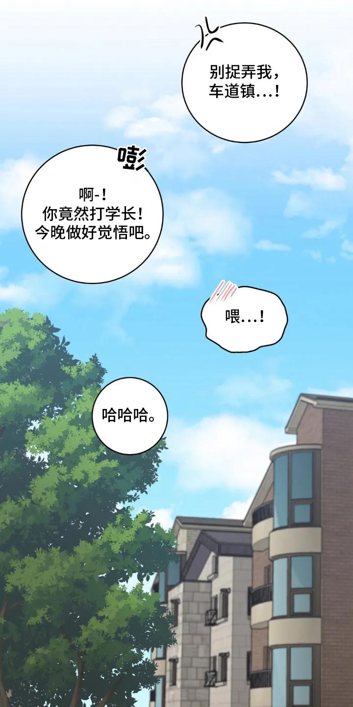《双生痕》第31章：做好觉悟（完结） 第24页