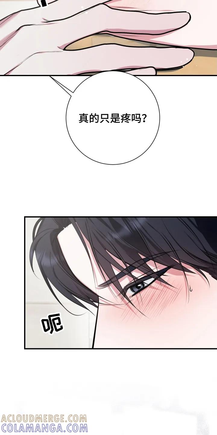 《退还烙印》第4章： 提议 第13页