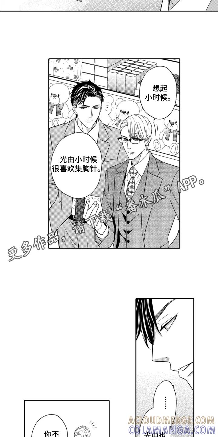 《误会与真相》第8章：胸针 第2页
