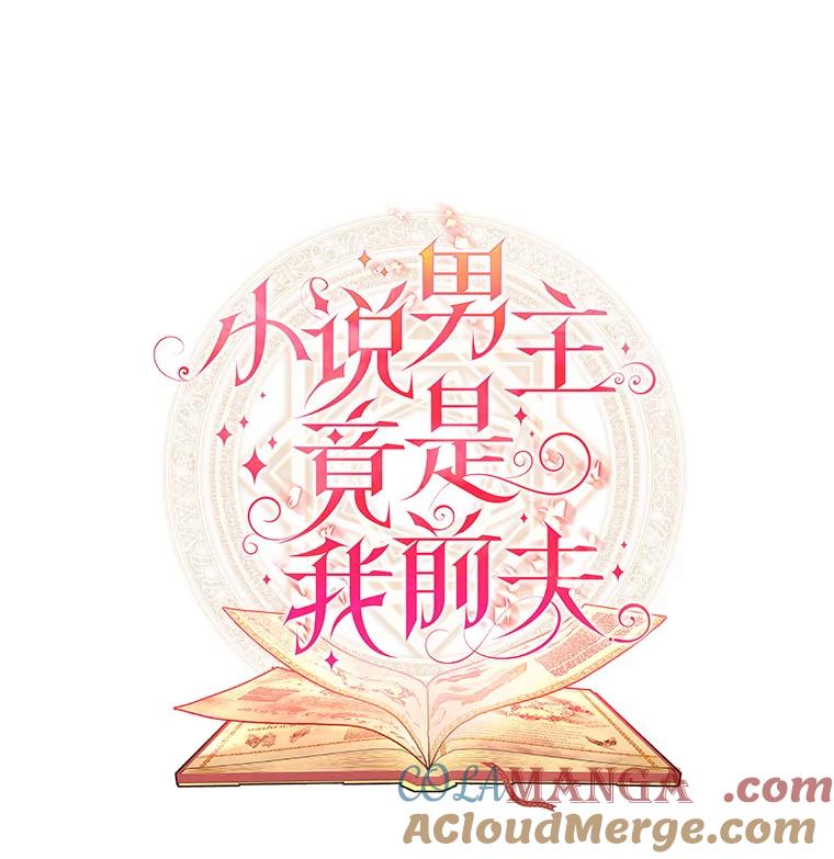 《小说男主竟是我前夫》26.坦白过去 第5页
