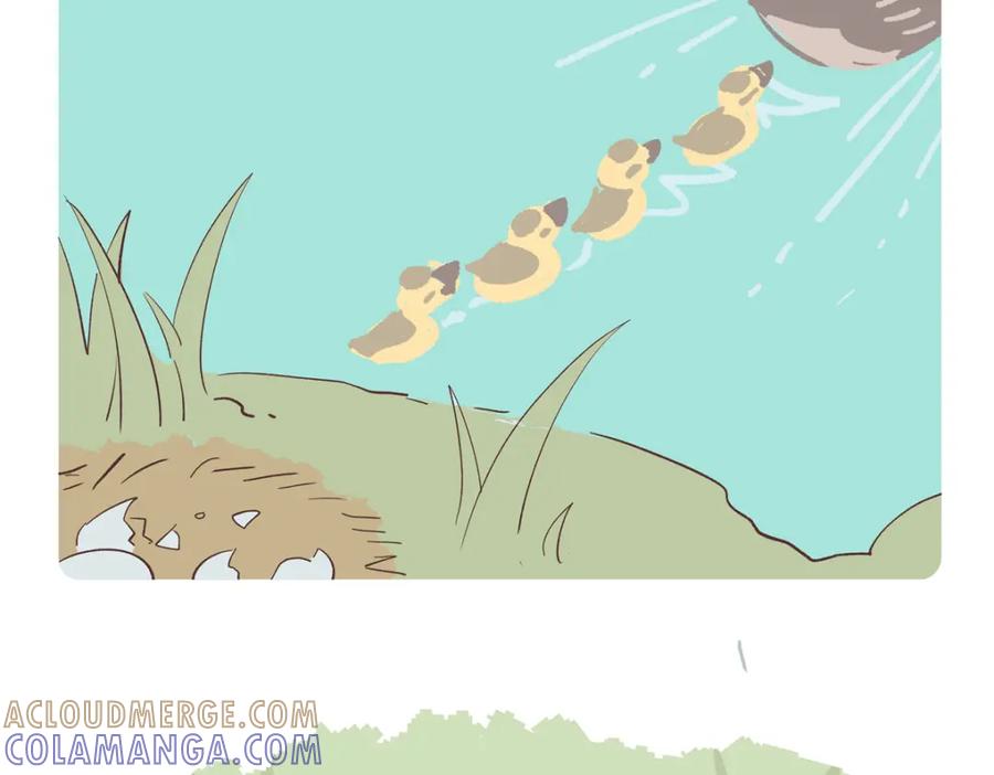 《胖达x胖达》第267话 第11页