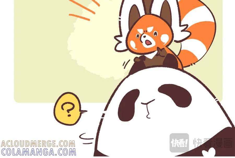 《胖达x胖达》第267话 第19页