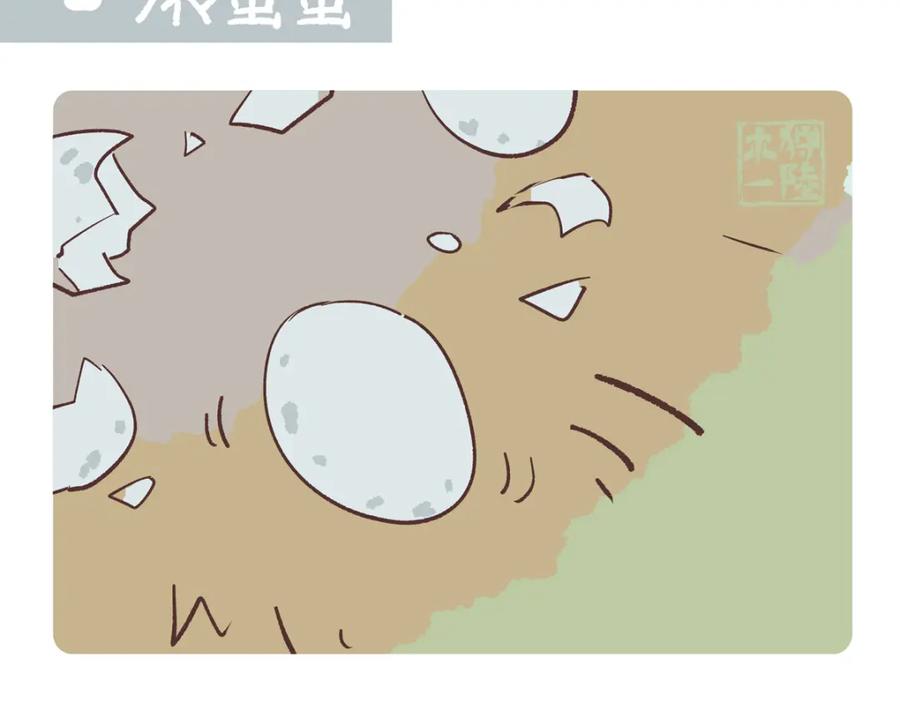 《胖达x胖达》第267话 第14页