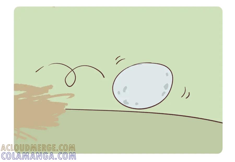 《胖达x胖达》第267话 第15页