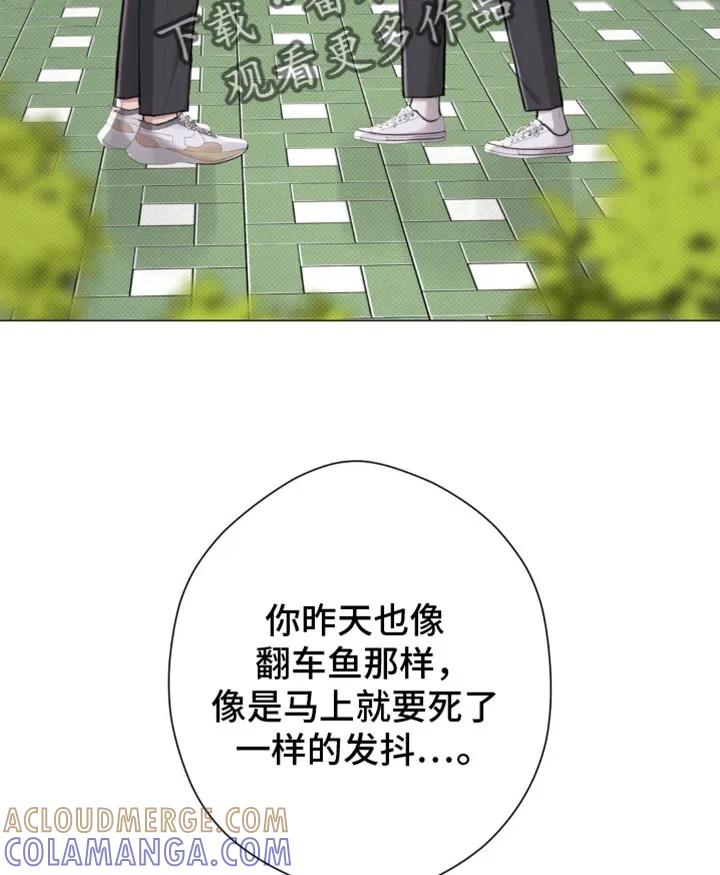 《海岛人生》第48章：【第二季】就像失恋的人 第29页