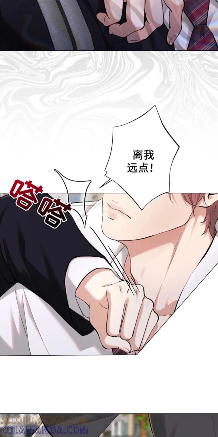《海岛人生》第48章：【第二季】就像失恋的人 第21页