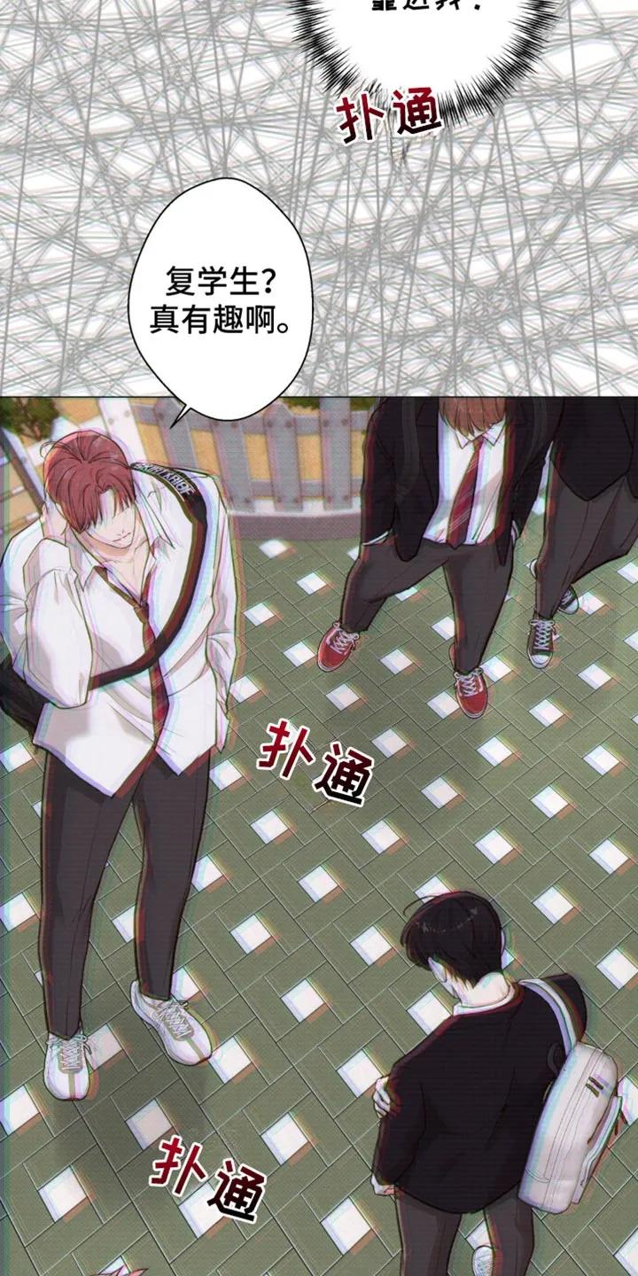 《海岛人生》第48章：【第二季】就像失恋的人 第26页