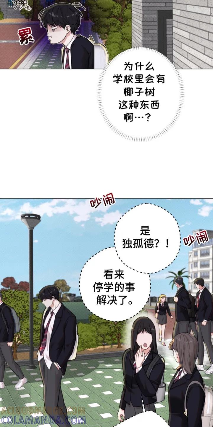 《海岛人生》第48章：【第二季】就像失恋的人 第17页