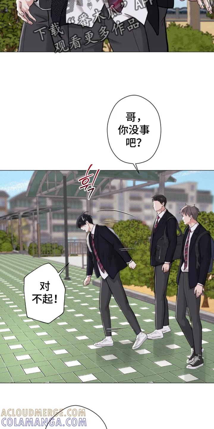 《海岛人生》第48章：【第二季】就像失恋的人 第23页