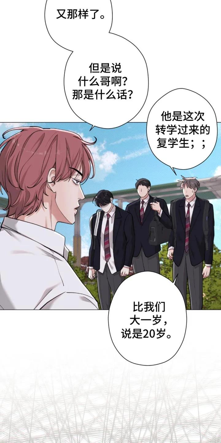 《海岛人生》第48章：【第二季】就像失恋的人 第24页