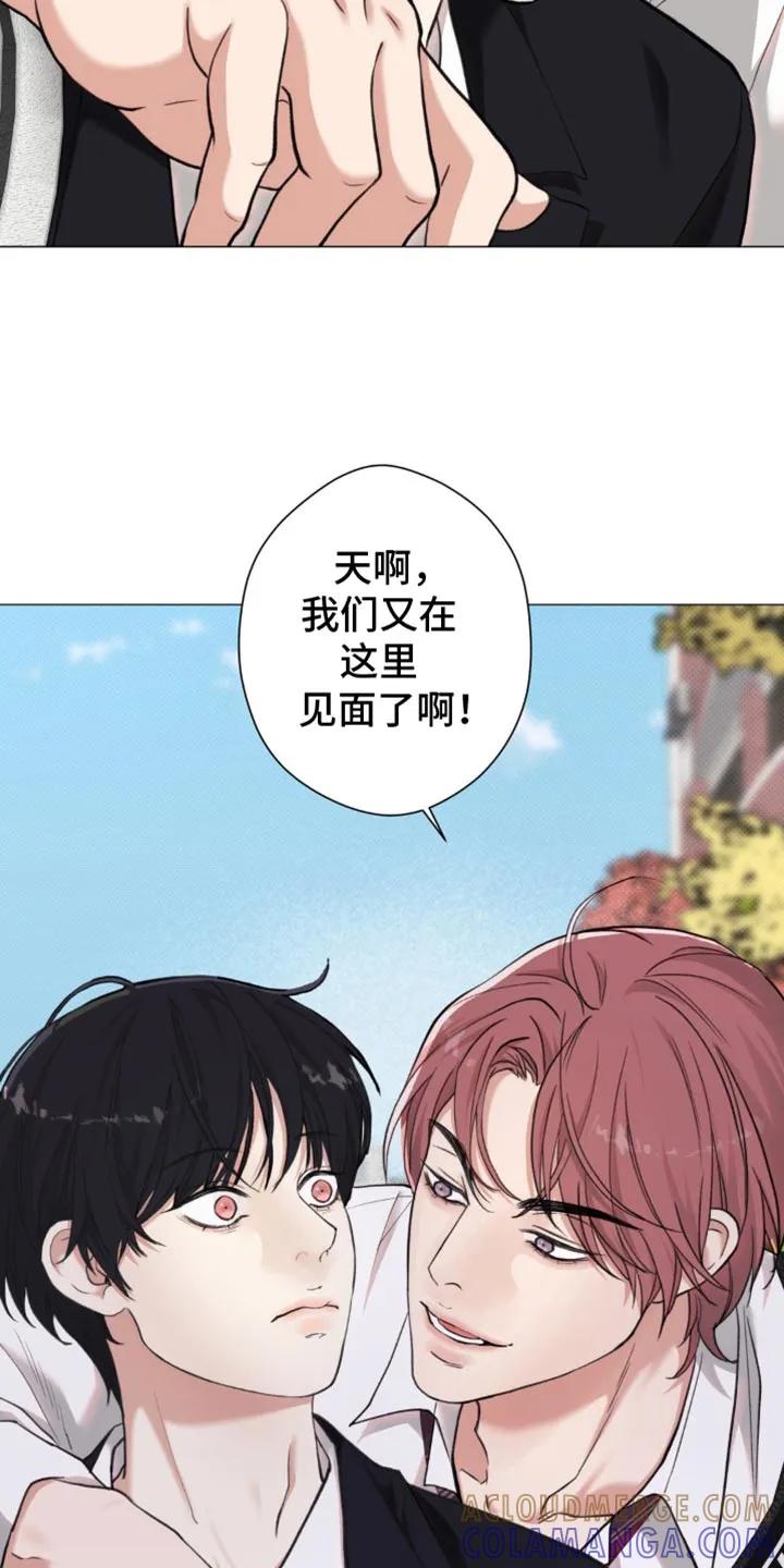 《海岛人生》第48章：【第二季】就像失恋的人 第19页