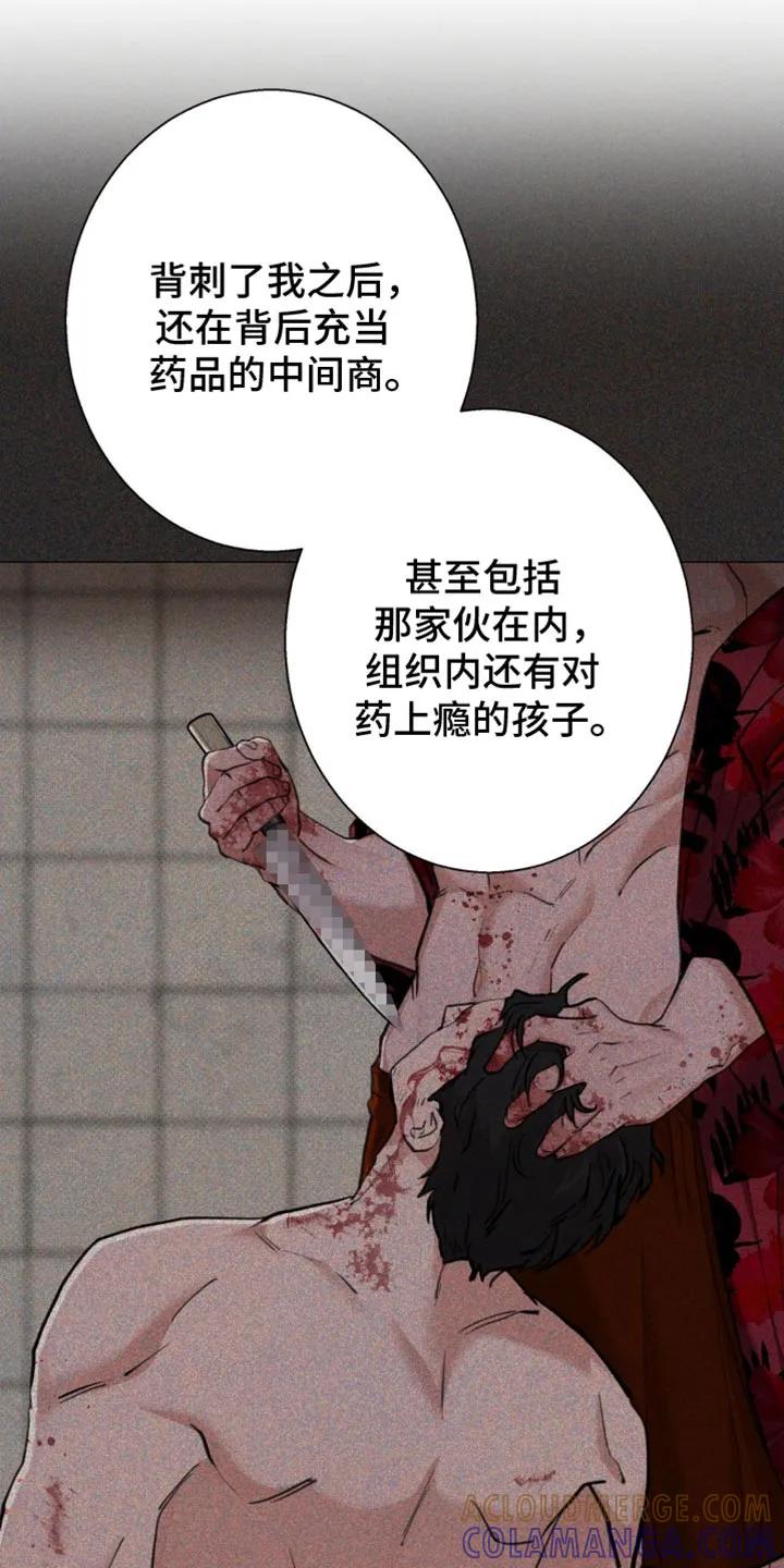 《海岛人生》第49章：【第二季】为什么要心虚？ 第19页