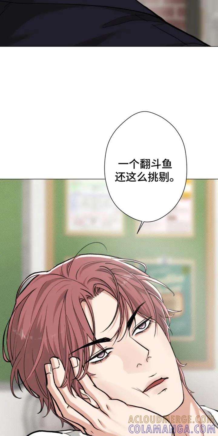 《海岛人生》第50章：【第二季】生气 第7页