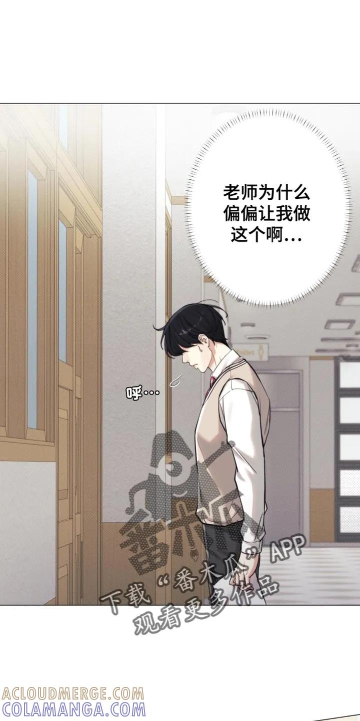 《海岛人生》第52章：【第二季】心情很不好 第13页