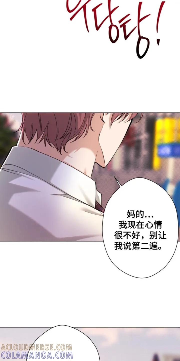 《海岛人生》第52章：【第二季】心情很不好 第33页