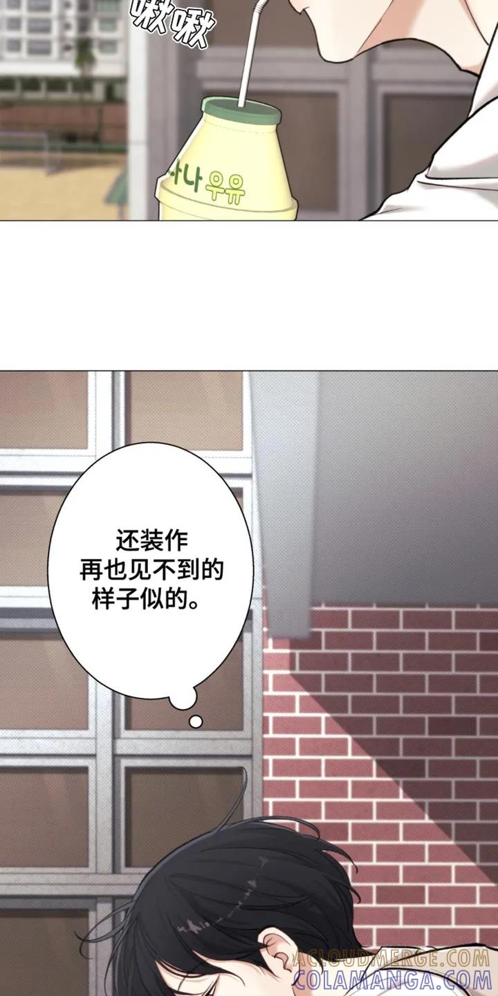 《海岛人生》第52章：【第二季】心情很不好 第9页