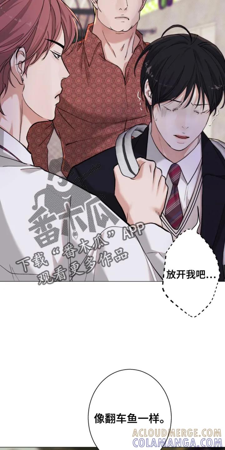 《海岛人生》第54章：【第二季】自作自受 第11页