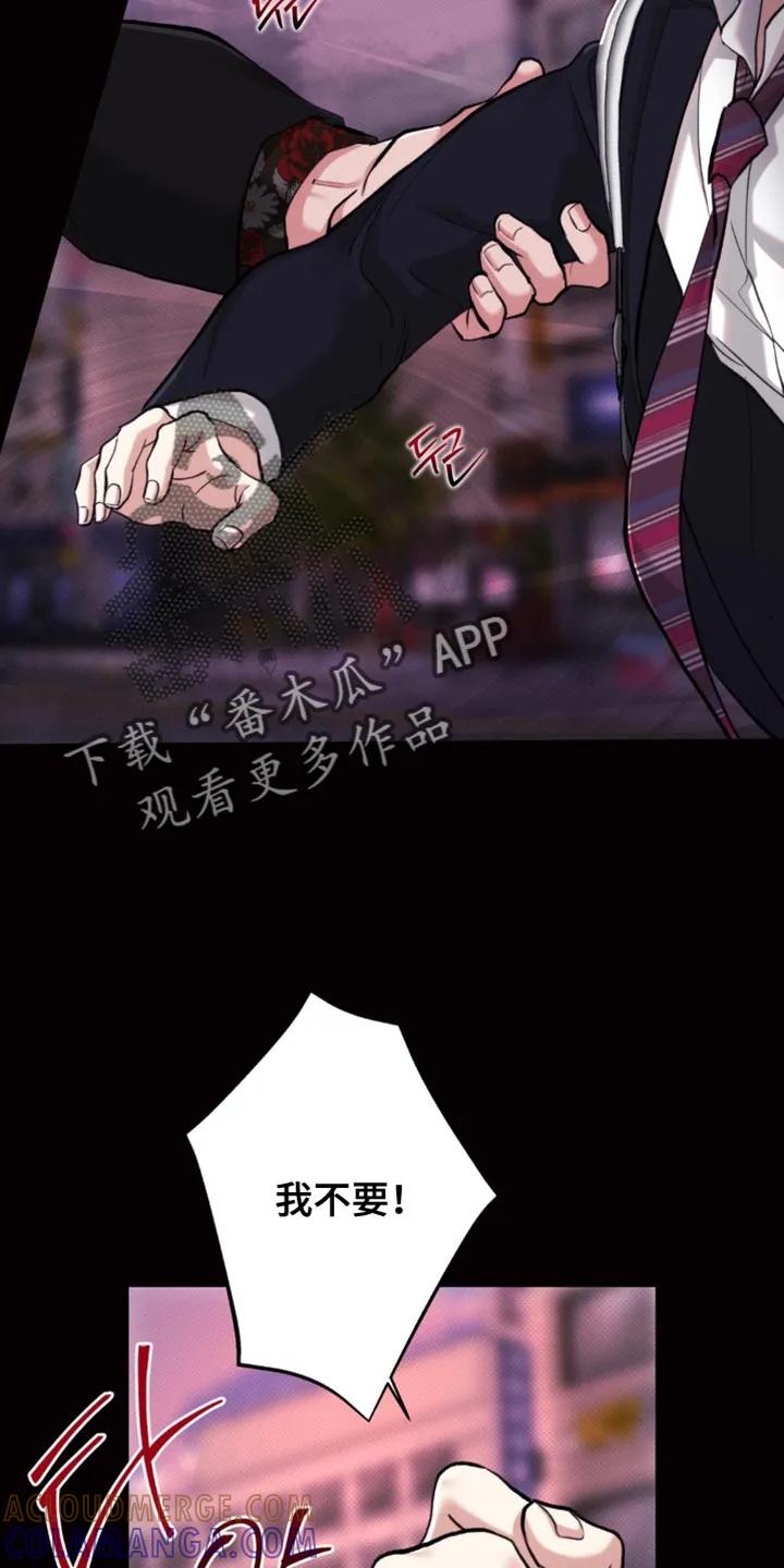 《海岛人生》第54章：【第二季】自作自受 第27页