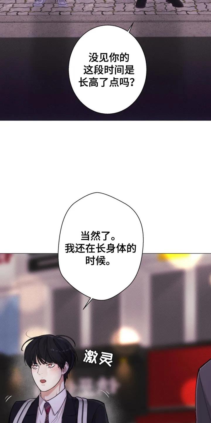 《海岛人生》第55章：【第二季】对不起了 第18页