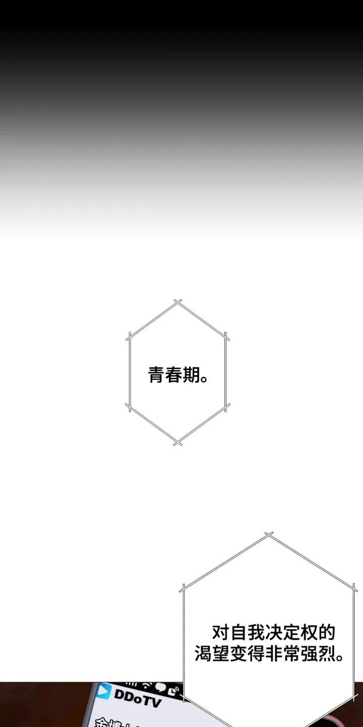 《海岛人生》第55章：【第二季】对不起了 第2页