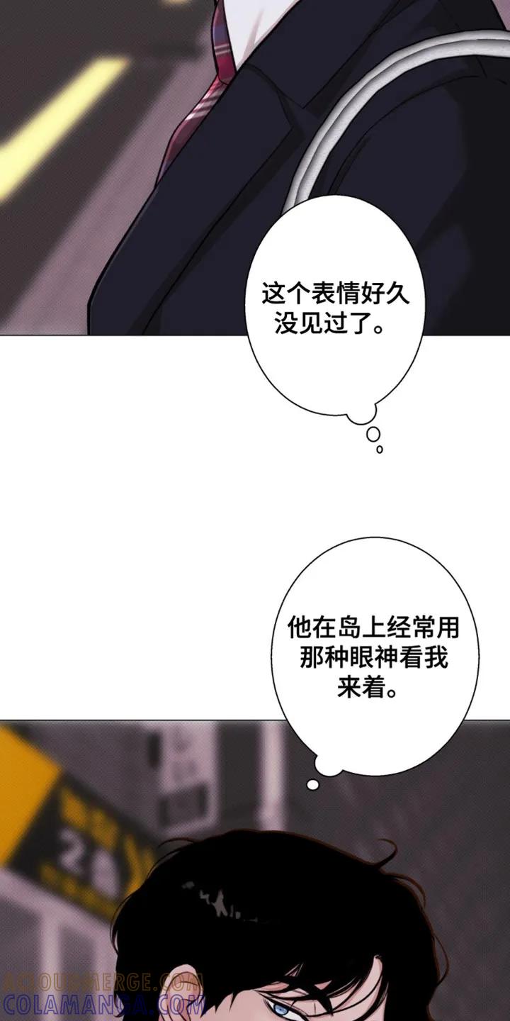 《海岛人生》第55章：【第二季】对不起了 第23页