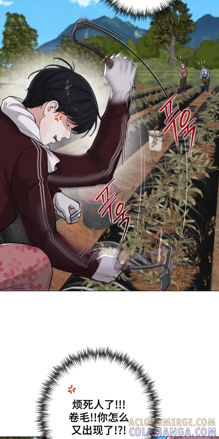 《海岛人生》第56章：【第二季】一起走吧 第13页