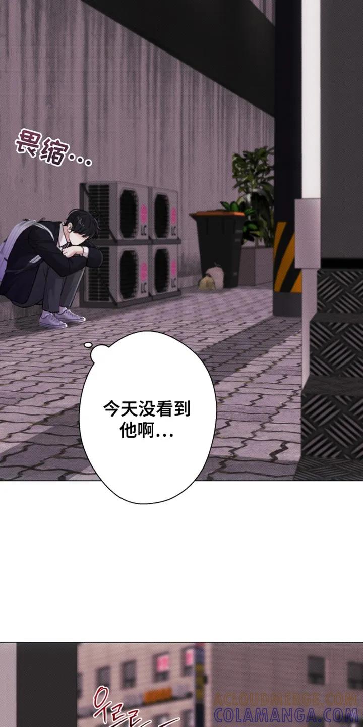 《海岛人生》第56章：【第二季】一起走吧 第29页
