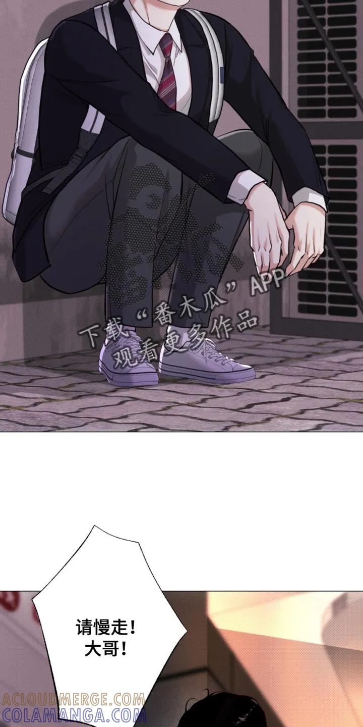 《海岛人生》第56章：【第二季】一起走吧 第31页
