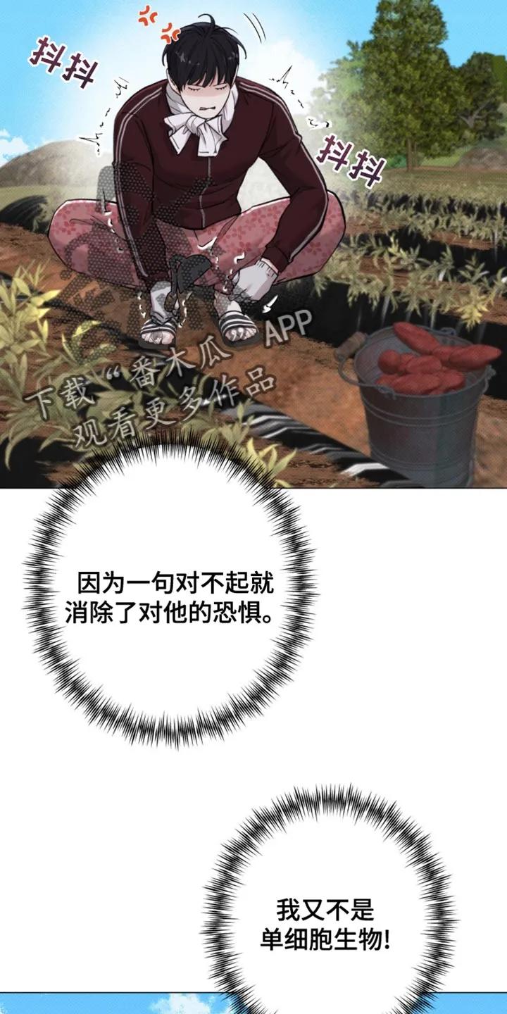 《海岛人生》第56章：【第二季】一起走吧 第12页
