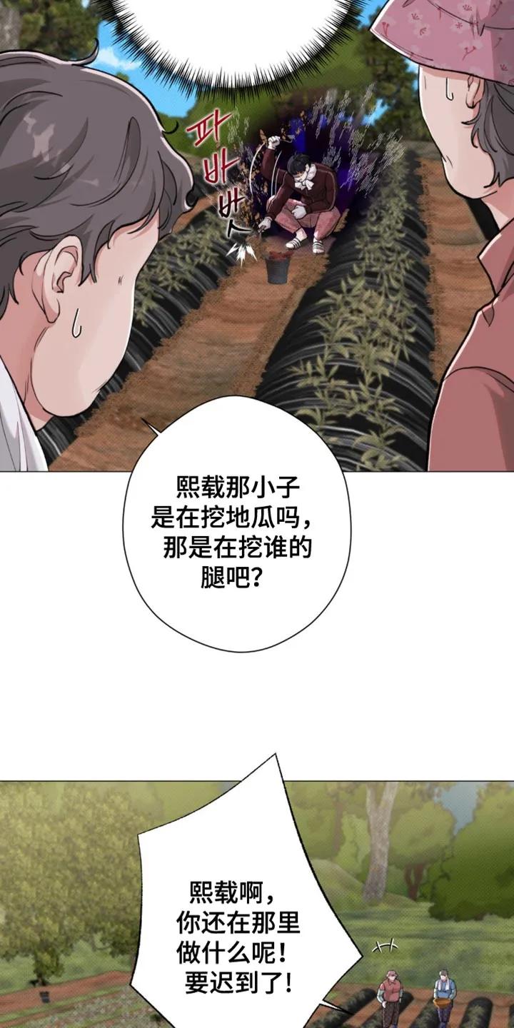 《海岛人生》第56章：【第二季】一起走吧 第14页