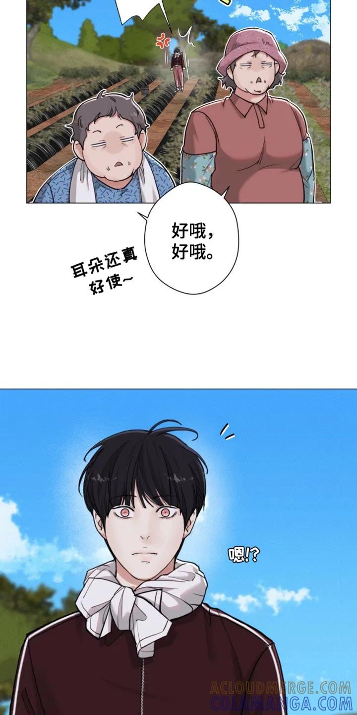 《海岛人生》第56章：【第二季】一起走吧 第17页
