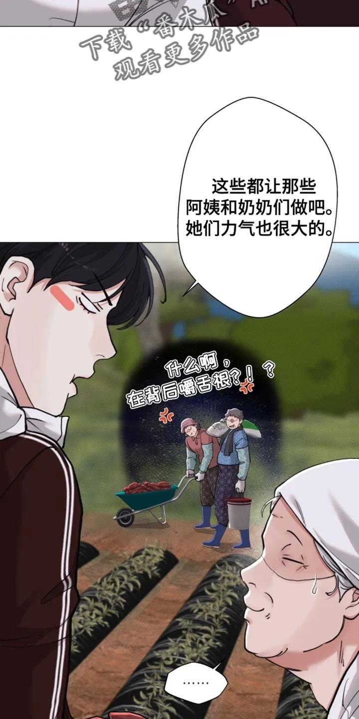 《海岛人生》第56章：【第二季】一起走吧 第22页