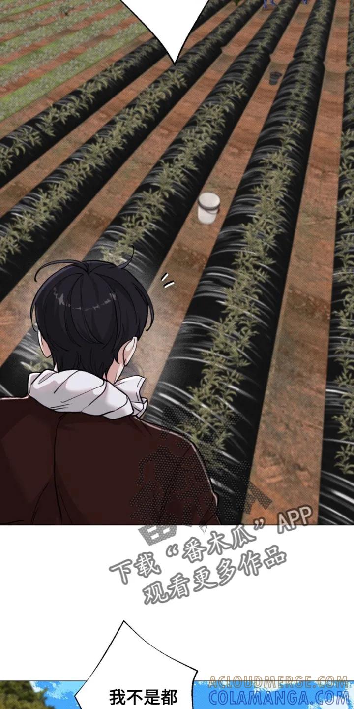 《海岛人生》第56章：【第二季】一起走吧 第15页