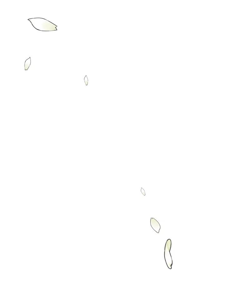 《无尽的诅咒》1.重生 第87页