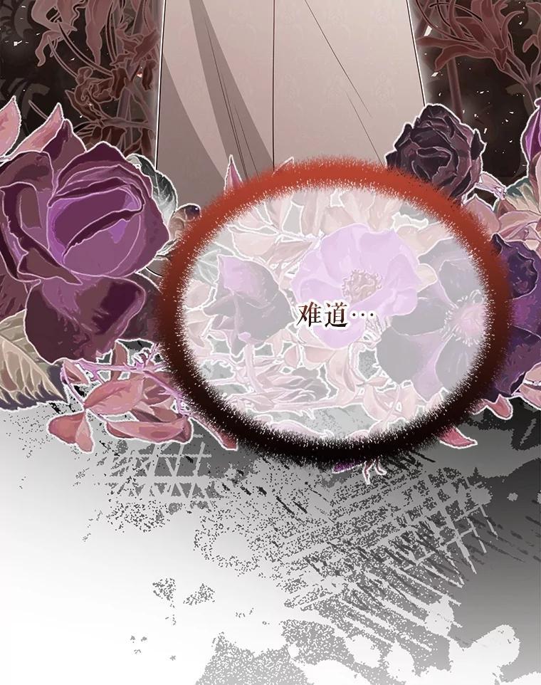 《圣女大人已黑化》49.日食提前 第78页