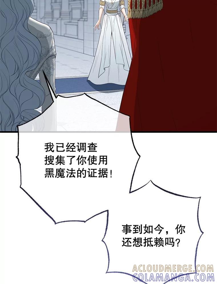 《圣女大人已黑化》50.莉娜作法失败 第65页