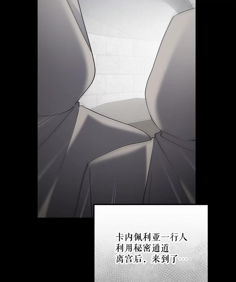 《无尽的诅咒》54.差点暴露 第3页