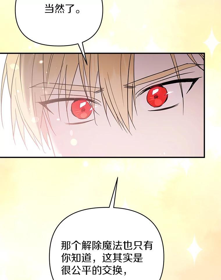 《无尽的诅咒》58.13区 第12页