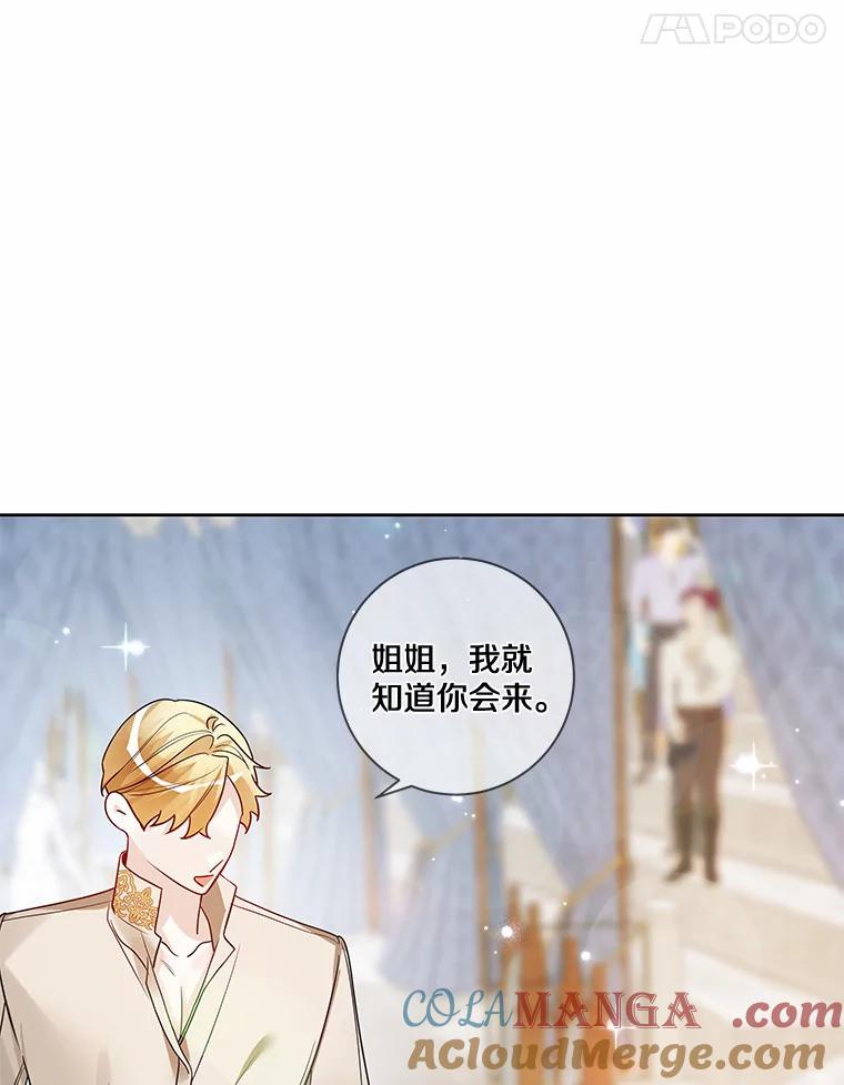 《龙套大公子妃的花路人生》27.手绢 第93页