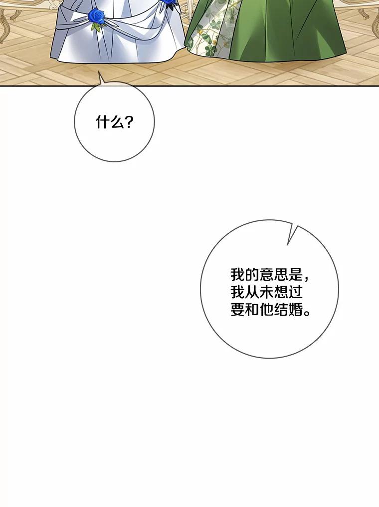 《龙套大公子妃的花路人生》27.手绢 第28页