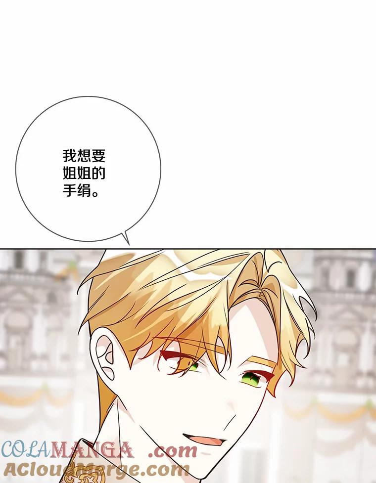 《龙套大公子妃的花路人生》27.手绢 第97页