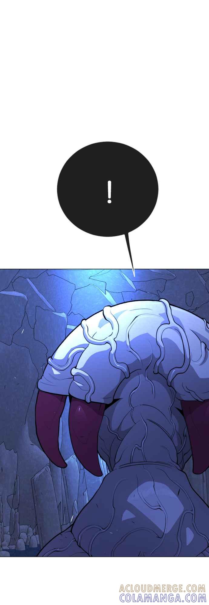 61.jpg