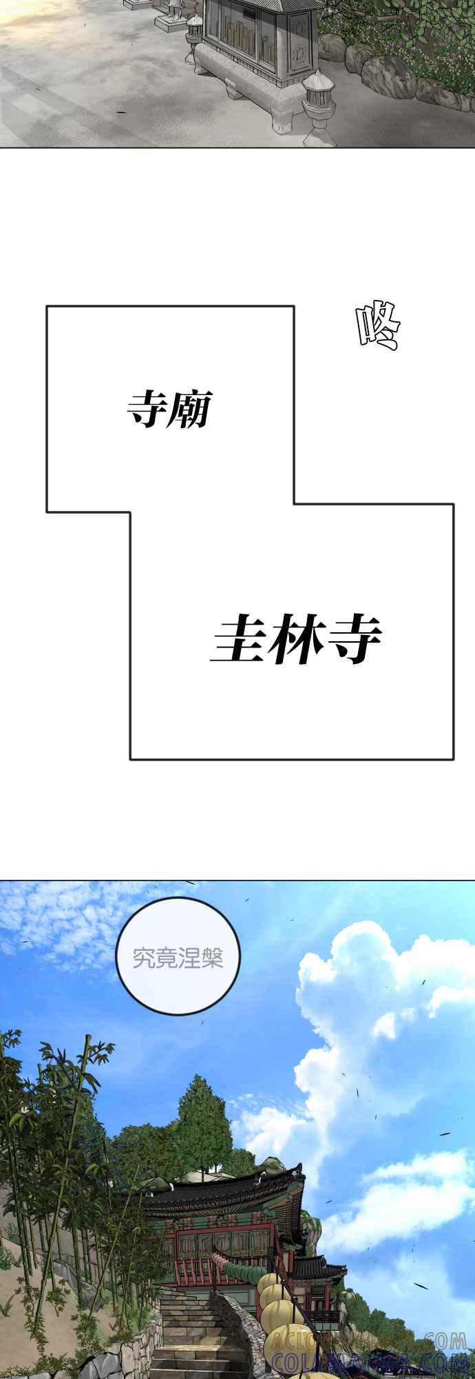 77.jpg